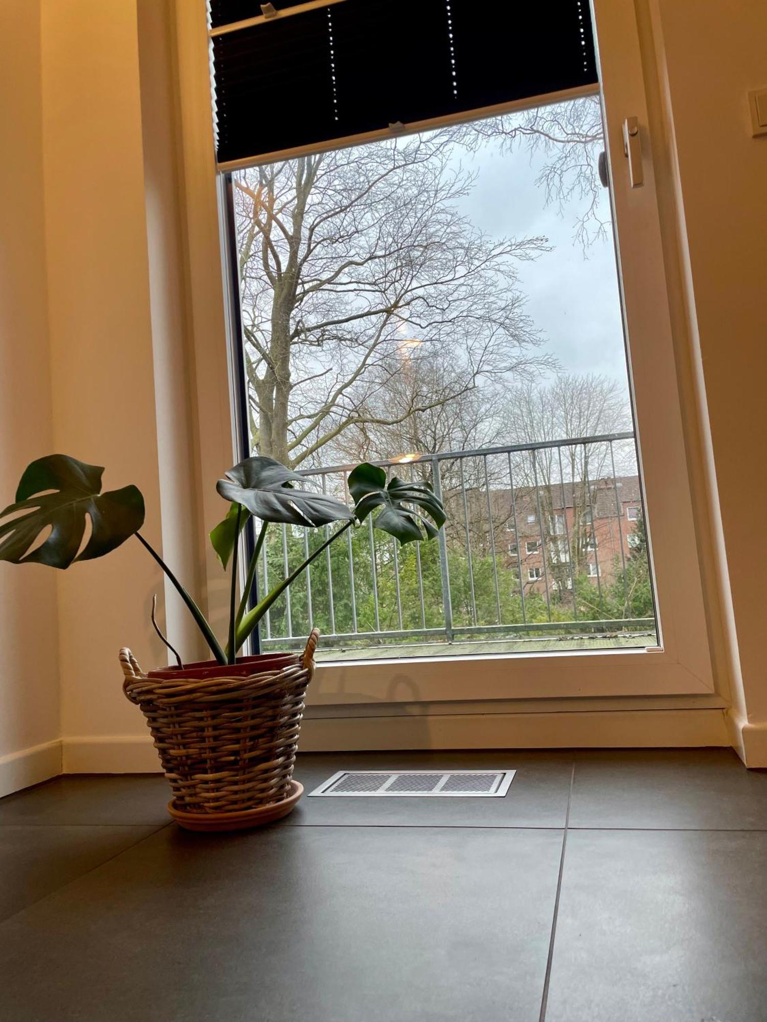 Modernes Holzhaus Im Skandinavischen Stil Mit Sauna, Garten Und 2 Katzen Norderstedt Bagian luar foto